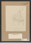 Diatomeae indet. Zeichnungen Sammlung Grunow Nr. 8213 (NHMW-BOT-W0377597)